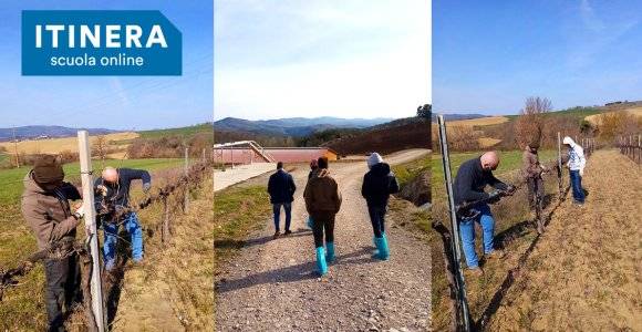 Una giornata in azienda agricola
